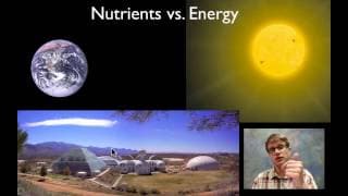 Biogeochemical Cycling