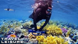 How Scientists Are Restoring the Great Barrier Reef (And How You Can Help)