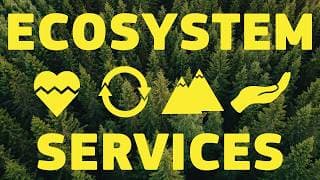 Ecosystem services and Biodiversity - Science for Environment Policy