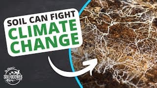 Soil Carbon Sequestration and the Soil Food Web | Soil Food Web School