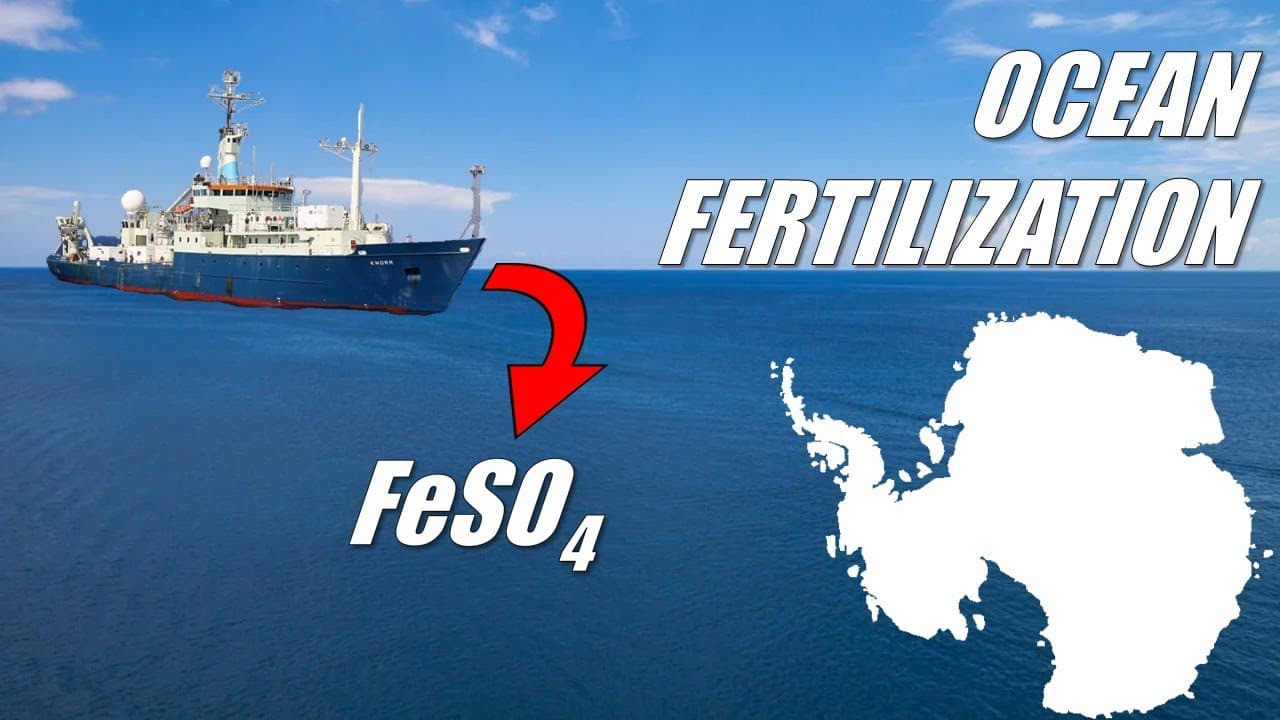 Marine Snow and CCD: The Carbon That Reaches the Deep... and Then Disappears