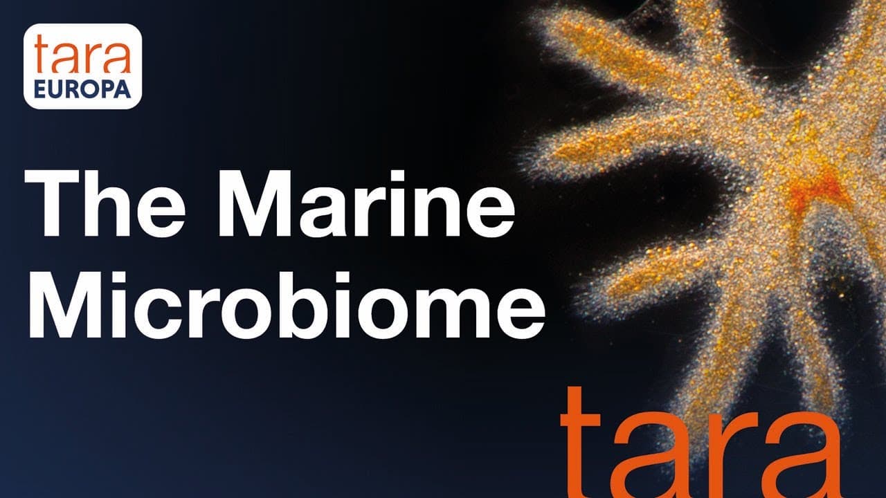 Microbiome: microorganisms invisible life responsible for many services