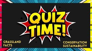 The Urban Grassland Restoration Quiz:  Prairie Wisdom