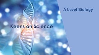 Role of pioneer species