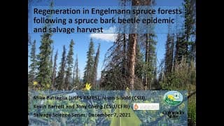 Regeneration in Engelmann Spruce Forests Following a Spruce Bark Beetle Epidemic and Salvage Harvest