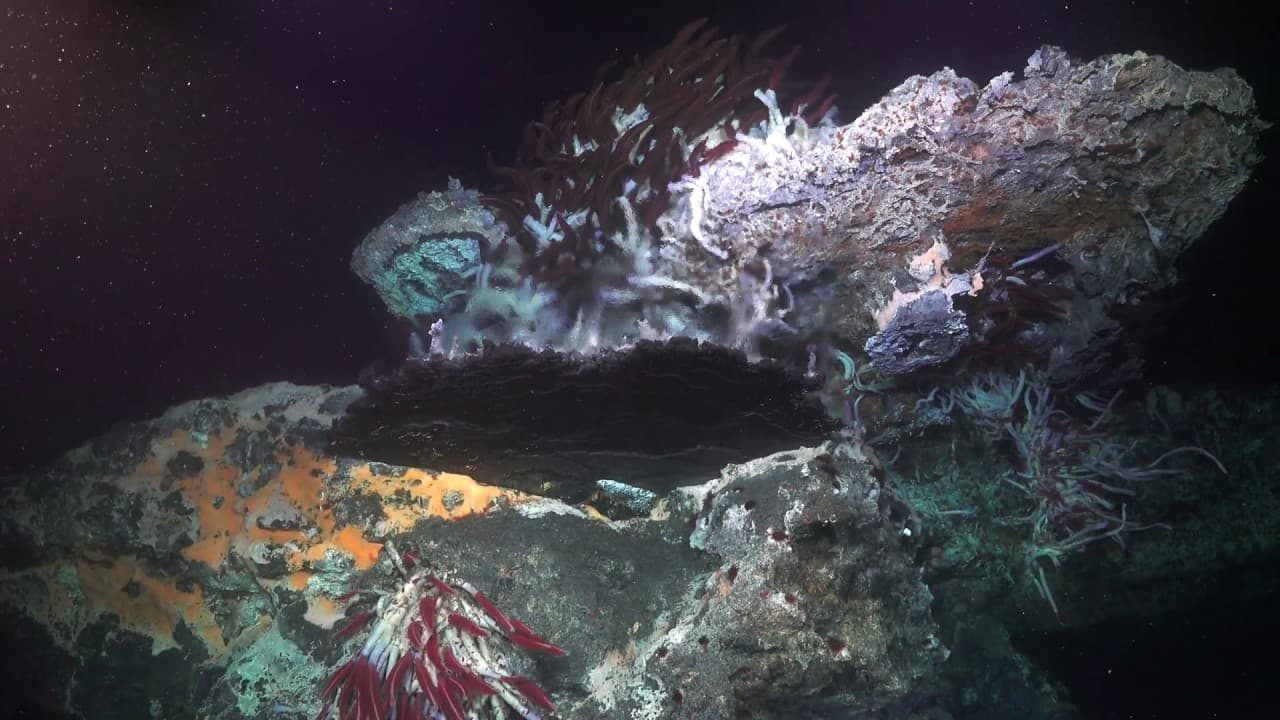 Microbial Mysteries — 4K ROV Highlights