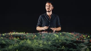 The global movement to restore nature's biodiversity | Thomas Crowther