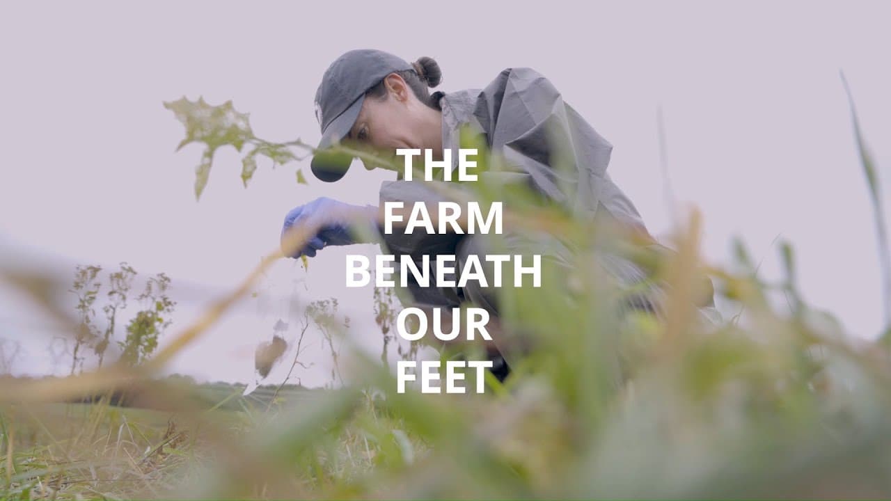 Farm Beneath Our Feet: Unseen Microbial World