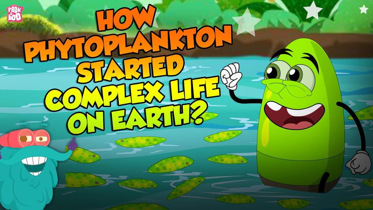 How Phytoplankton Started Complex Life On Earth