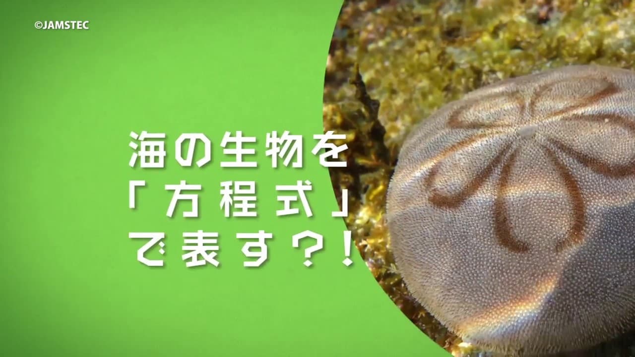 Plankton and Climate Change Vol.1