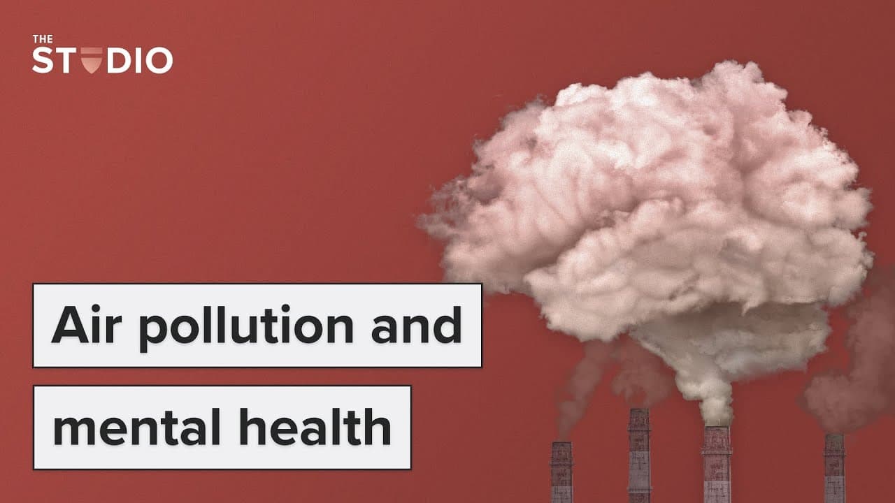How Air Pollution Affects Mental Health and Cognition