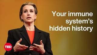 The Incredible Secrets Hidden in Your Immune System | Beck Brachman | TED