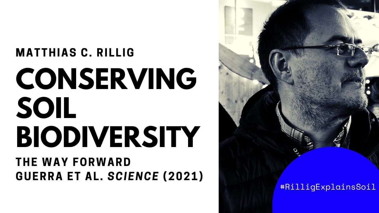 Soil Biodiversity Conservation (Guerra et al. Science 2021)