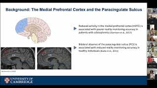 Brain mechanisms of hallucinations: reality monitoring and the medial prefrontal cortex