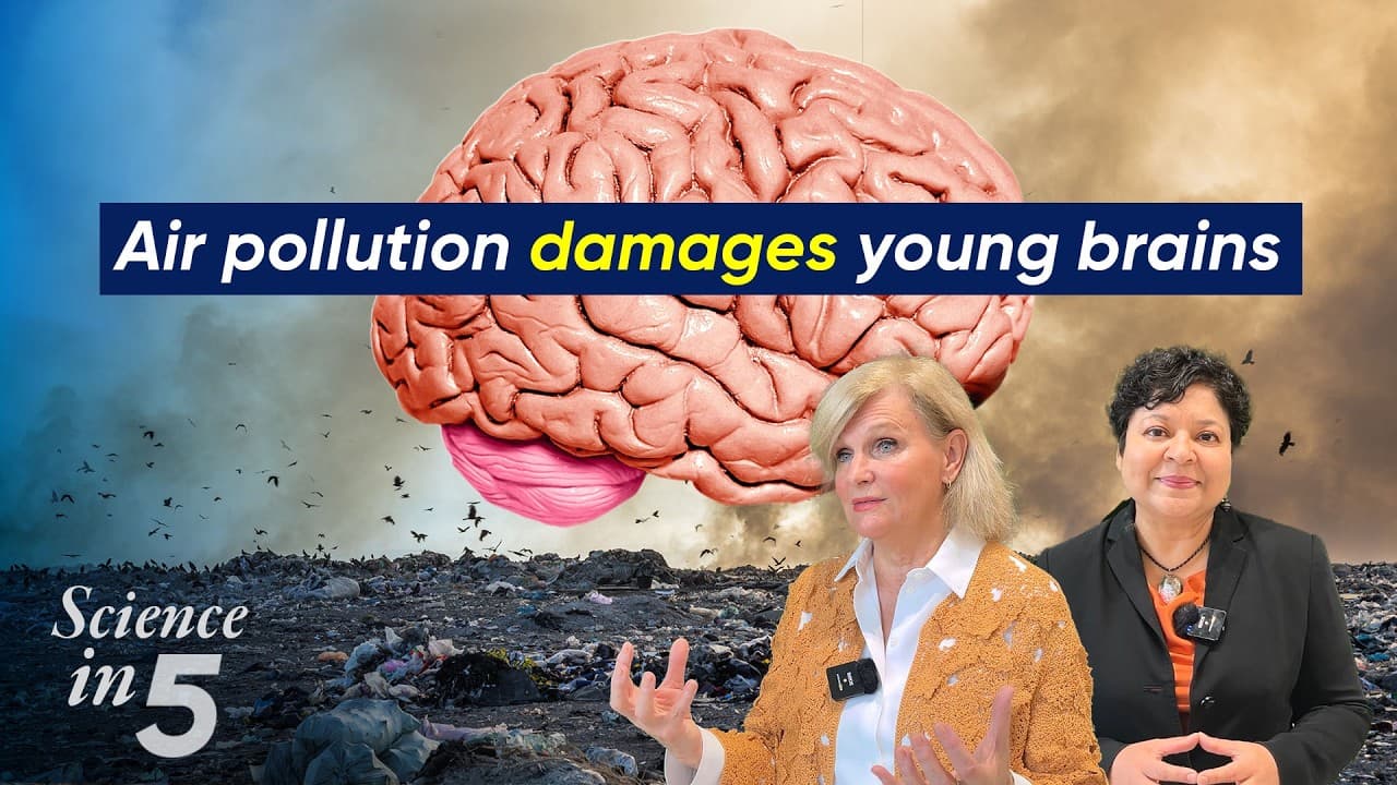 Air Pollution Damages Young Brains