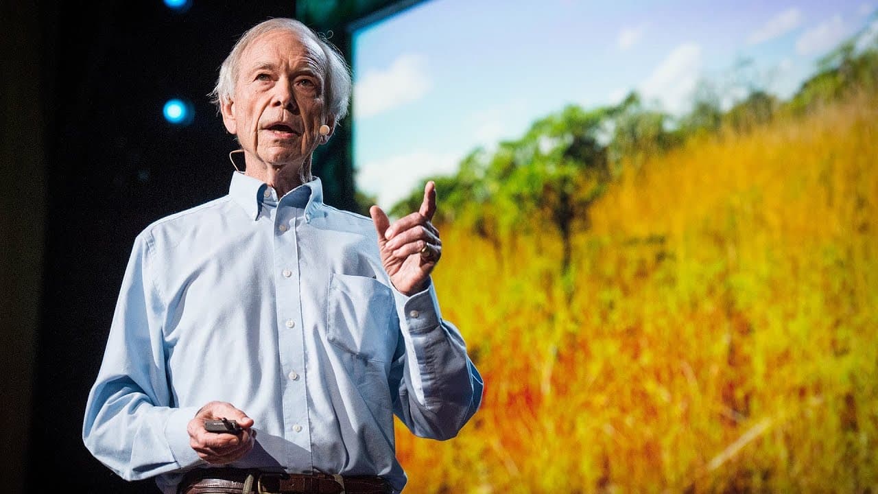 How to Green the World's Deserts and Reverse Climate Change